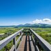 阿蘇・天草だけじゃない！夏に行きたい熊本県の絶景スポット7選