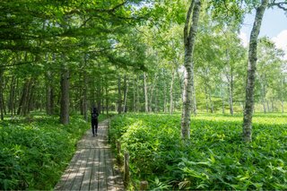 まだ間に合う夏旅!日中を避けて残暑を楽しむ「朝活・夜活」涼スポット10選