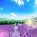 【イベント情報：群馬県】たんばらラベンダーパーク（6/27～8/30）