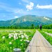 暑い季節には高原へ！夏に歩きたい絶景トレッキング10選