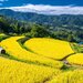 実りと彩りの季節へ！秋の長野県で訪れたい10の観光スポット    