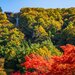 ワイナリーから紅葉まで！秋の山梨県で訪れたい10の観光スポット