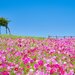 永久保存版！絶景好きがおすすめする兵庫県の絶景スポット