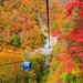 ロープウェーや遊覧船での紅葉も！秋の新潟県で訪れたい10の観光スポット