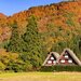 息をのむ絶景に出会う旅！秋の東海で行くべき紅葉名所