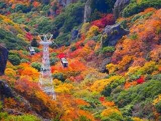 息をのむ絶景に出会う旅！秋の中国・四国で行くべき紅葉名所