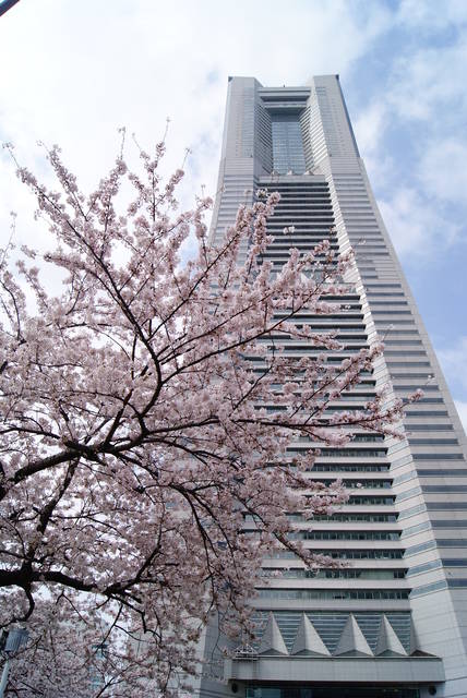 Photo by author (22000)