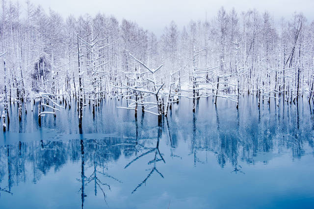 情緒あふれる日本の冬を感じるならここ！美しき日本の雪景色15選 ...