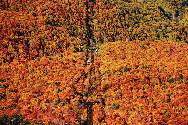 今年は上から見下ろしたい ロープウェイで上から見るおすすめ紅葉絶景7選 Tripa トリパ 旅のプロがお届けする旅行に役立つ情報