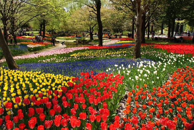 春夏秋冬いつ行っても何かの見頃 東京の癒しスポット昭和記念公園の魅力大公開 Tripa トリパ 旅のプロがお届けする旅行に役立つ情報