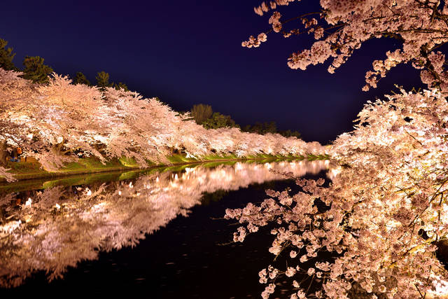 今年はこの桜絶景が見たい 春の到来を感じさせる日本全国のお花見スポット15選 Tripa トリパ 旅のプロがお届けする旅行に役立つ情報