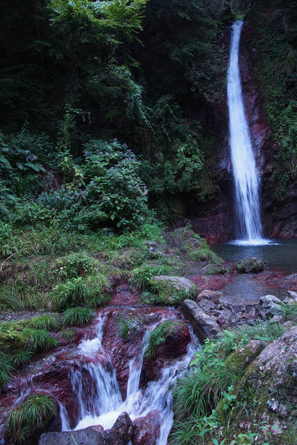 滝に巨木に奇岩に 生命力あふれる埼玉のパワースポット5選 Tripa トリパ 旅のプロがお届けする旅行に役立つ情報