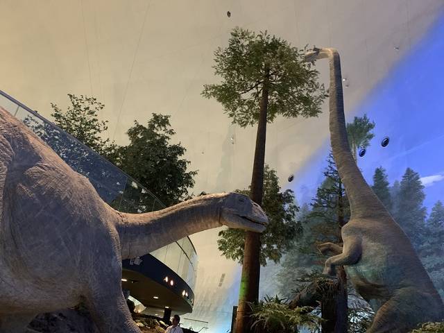 福井県立恐竜博物館に行ってきた 見どころ アクセスをチェックして満喫しよう Tripa トリパ 旅のプロがお届けする旅行に役立つ情報