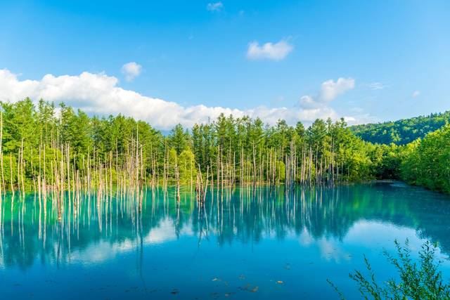 国内で出会える 幻想的な景色が広がる青の絶景スポット10選 Tripa トリパ 旅のプロがお届けする旅行に役立つ情報