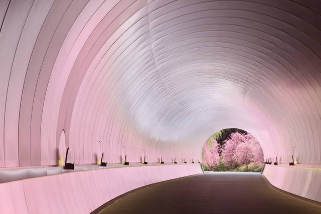 桜色のトンネル