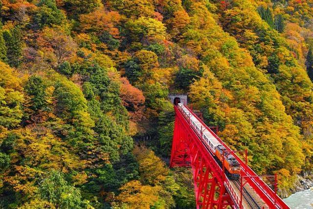感動の景色を満喫する旅へ出かけよう 日本国内の美しい秋の絶景スポット選 Tripa トリパ 旅のプロがお届けする旅行に役立つ情報