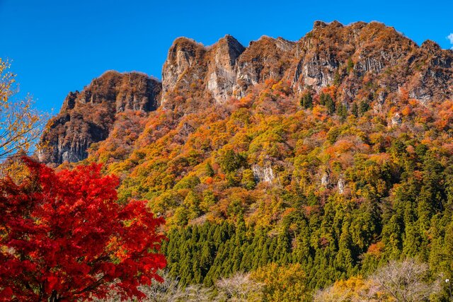 日帰り 宿泊 関東エリアの秋の紅葉ドライブおすすめスポット10選 Tripa トリパ 旅のプロがお届けする旅行に役立つ情報