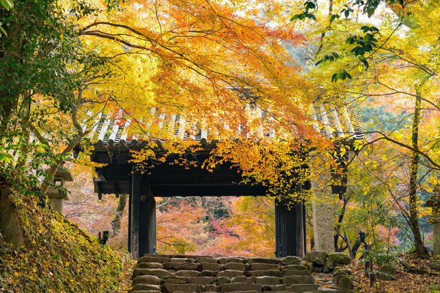 美しい町並みさんぽで癒されたい 風情あふれる日本の小京都10選 Tripa トリパ 旅のプロがお届けする旅行に役立つ情報
