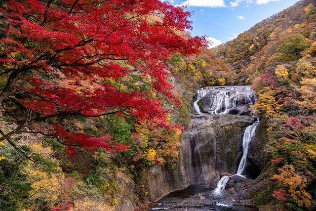 紅葉と滝のコラボが美しい 秋に見に行きたい滝の絶景15選 Tripa トリパ 旅のプロがお届けする旅行に役立つ情報