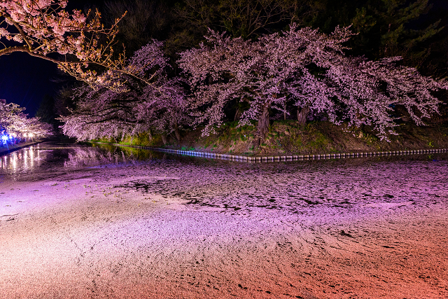 幻想的な桜の絶景を楽しむ！今年訪れたい「日本三大夜桜」 - Tripa ...