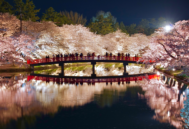 幻想的な桜の絶景を楽しむ！今年訪れたい「日本三大夜桜」 - Tripa ...