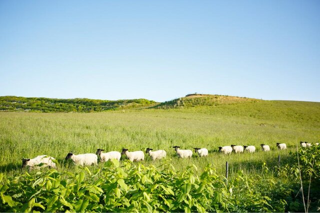 photo by PIXTA (226546)