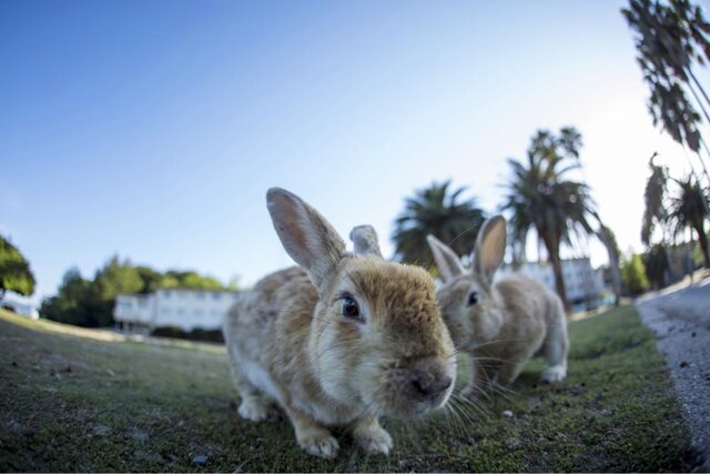 photo by PIXTA (226556)