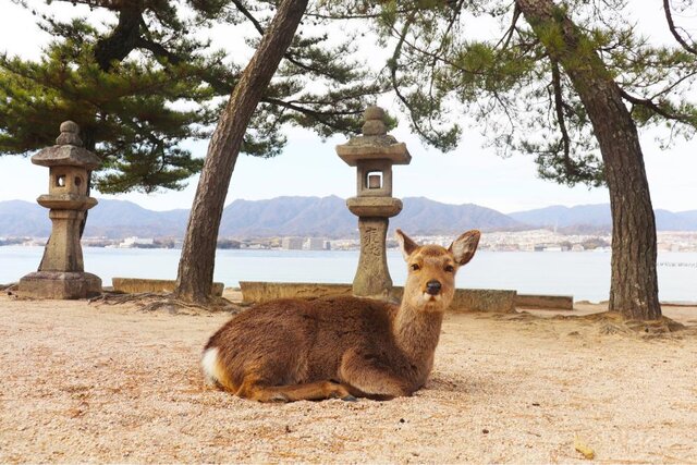 photo by PIXTA (226557)