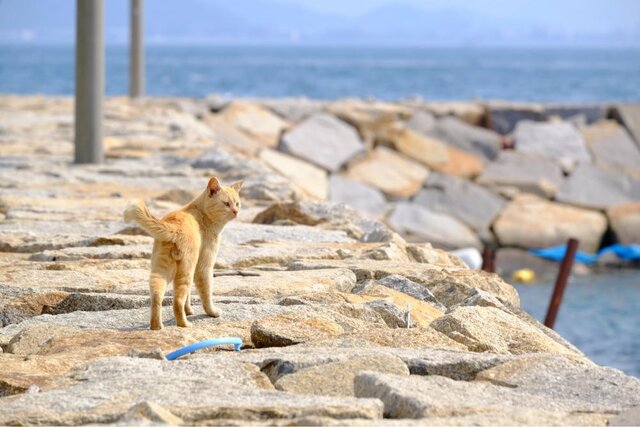 photo by PIXTA (226558)