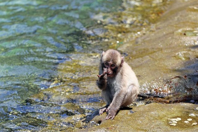 photo by PIXTA (226560)