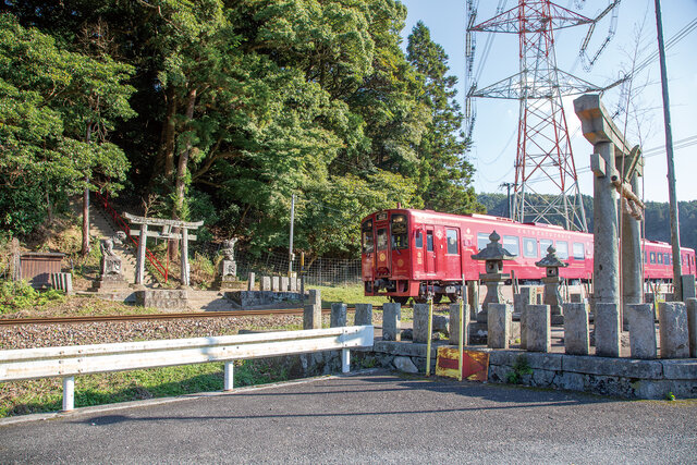 Photo by author (227942)