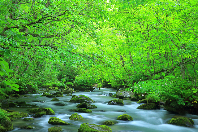 photo by PIXTA (234924)