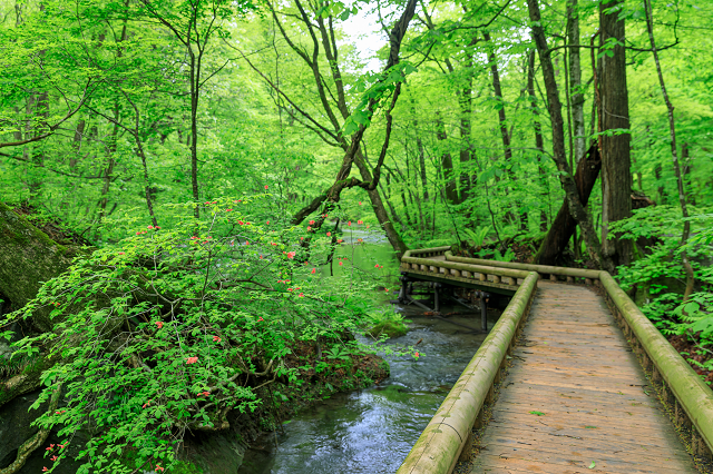 photo by PIXTA (234925)