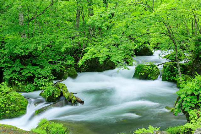 photo by PIXTA (234927)