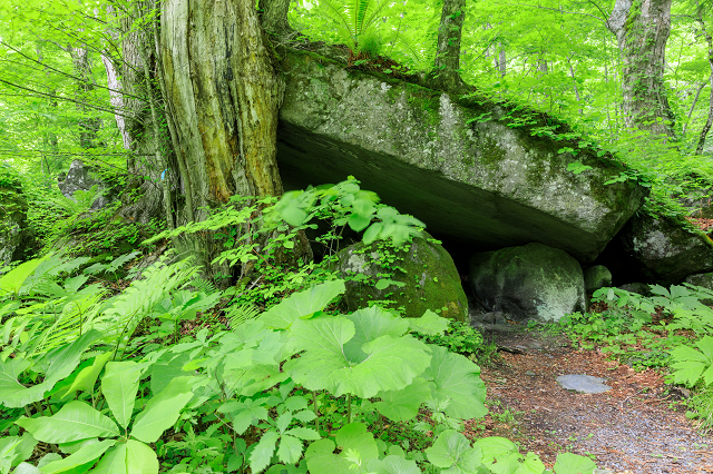 photo by PIXTA (234928)