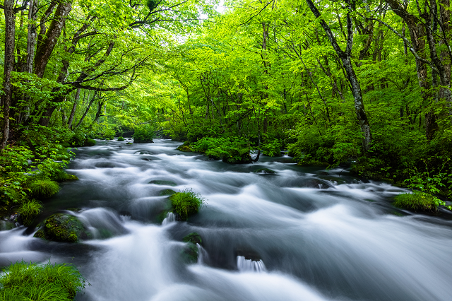 photo by PIXTA (234929)