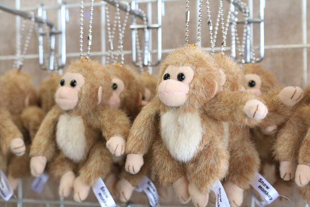 photo by author (247381)