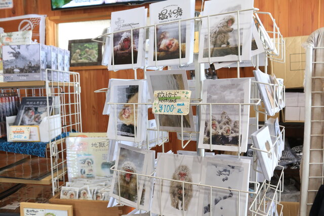 photo by author (247383)