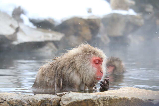 photo by author (247384)