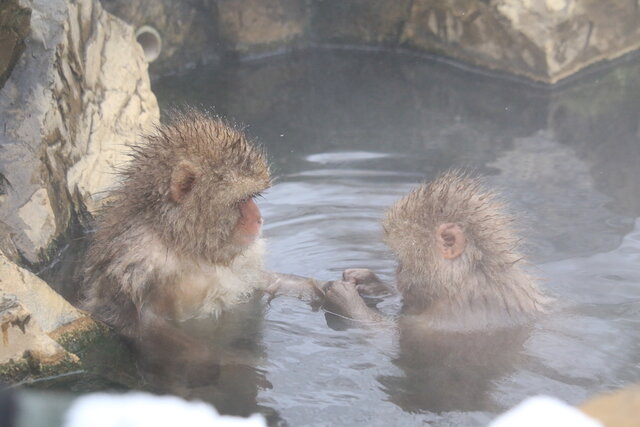 photo by author (247385)