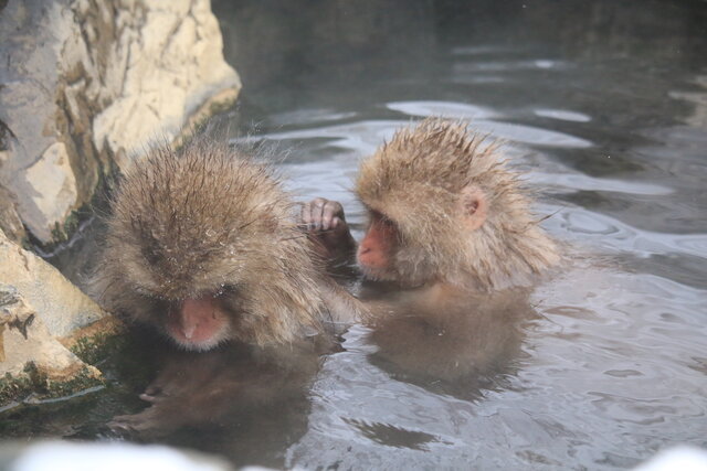 photo by author (247386)