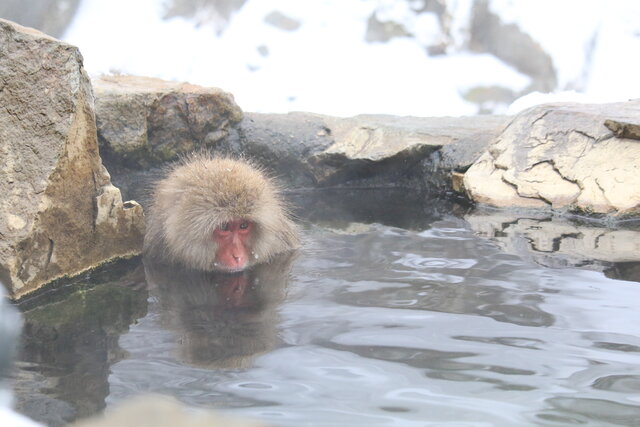 photo by author (247387)