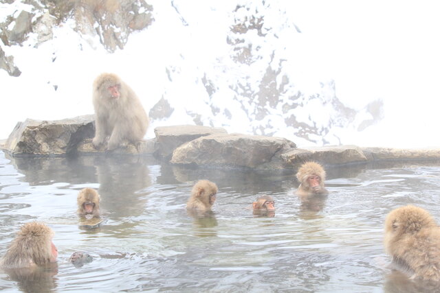 photo by author (247388)