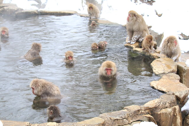 photo by author (247389)