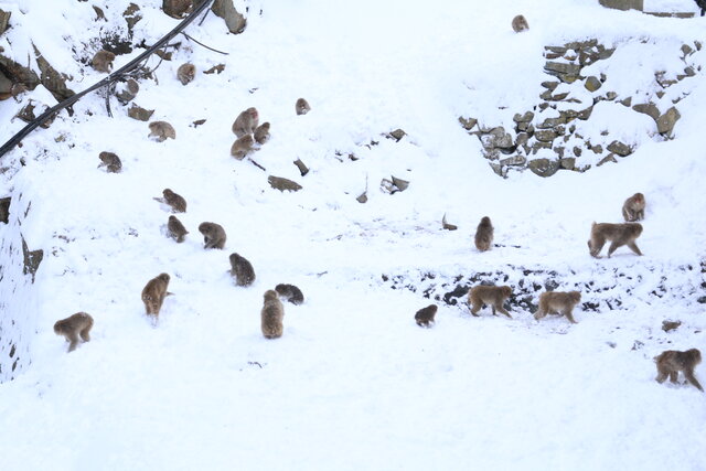 photo by author (247412)