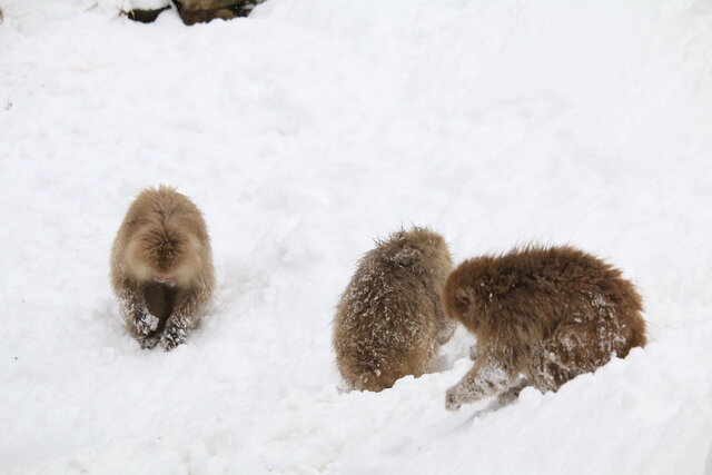 photo by author (247414)