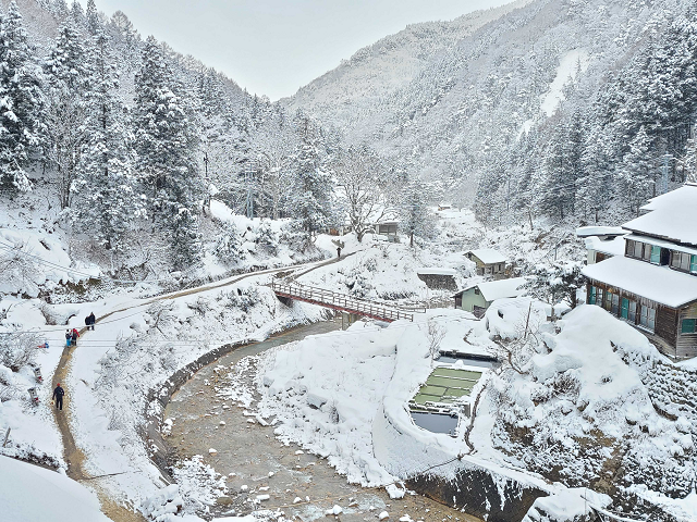 photo by author (247465)