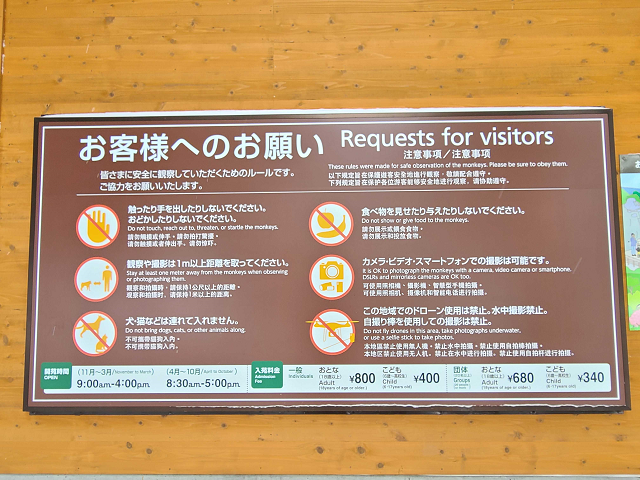 photo by author (247467)