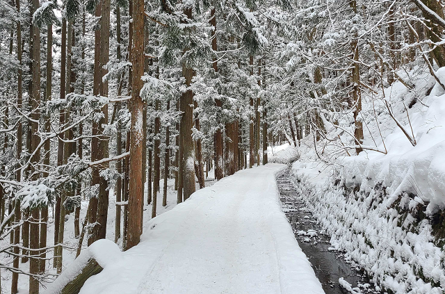 photo by author (247473)