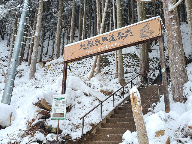 photo by author (247476)